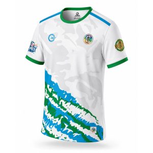 Caman2Leinster Jersey